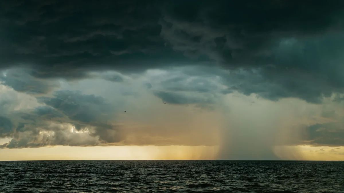 Cold Air Outbreaks And Convective Showers Off The Sea